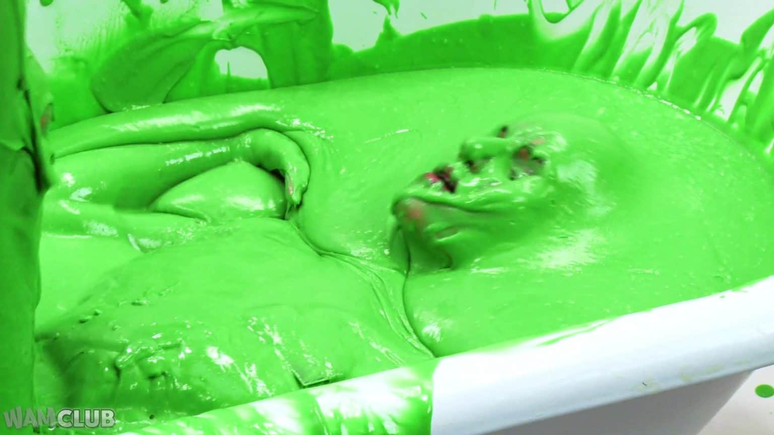 Slime Tour Guide – Wam Club